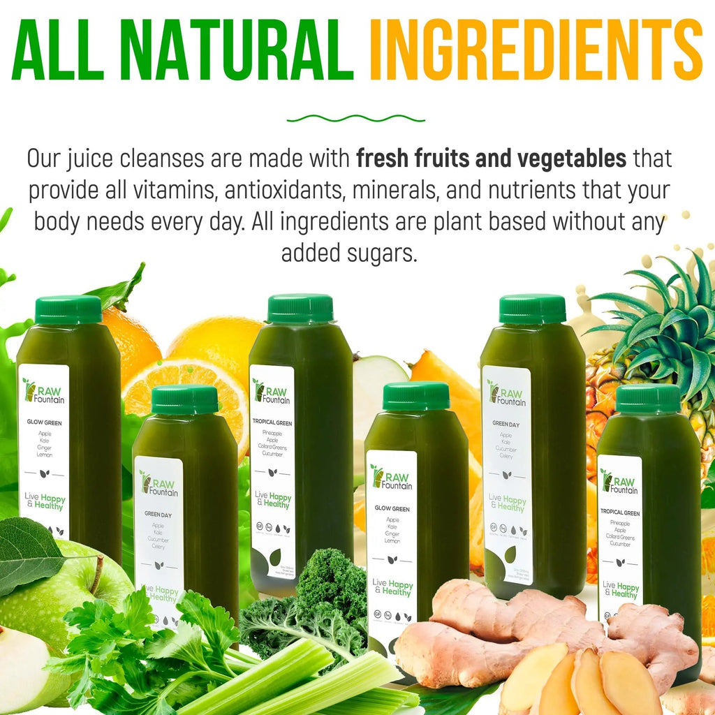 1 Day Green Juice Cleanse by Raw Fountain, All Natural Raw, Vegan Detox, Cold Pressed - TrustMedUSA