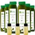 1 Day Green Juice Cleanse by Raw Fountain, All Natural Raw, Vegan Detox, Cold Pressed - TrustMedUSA