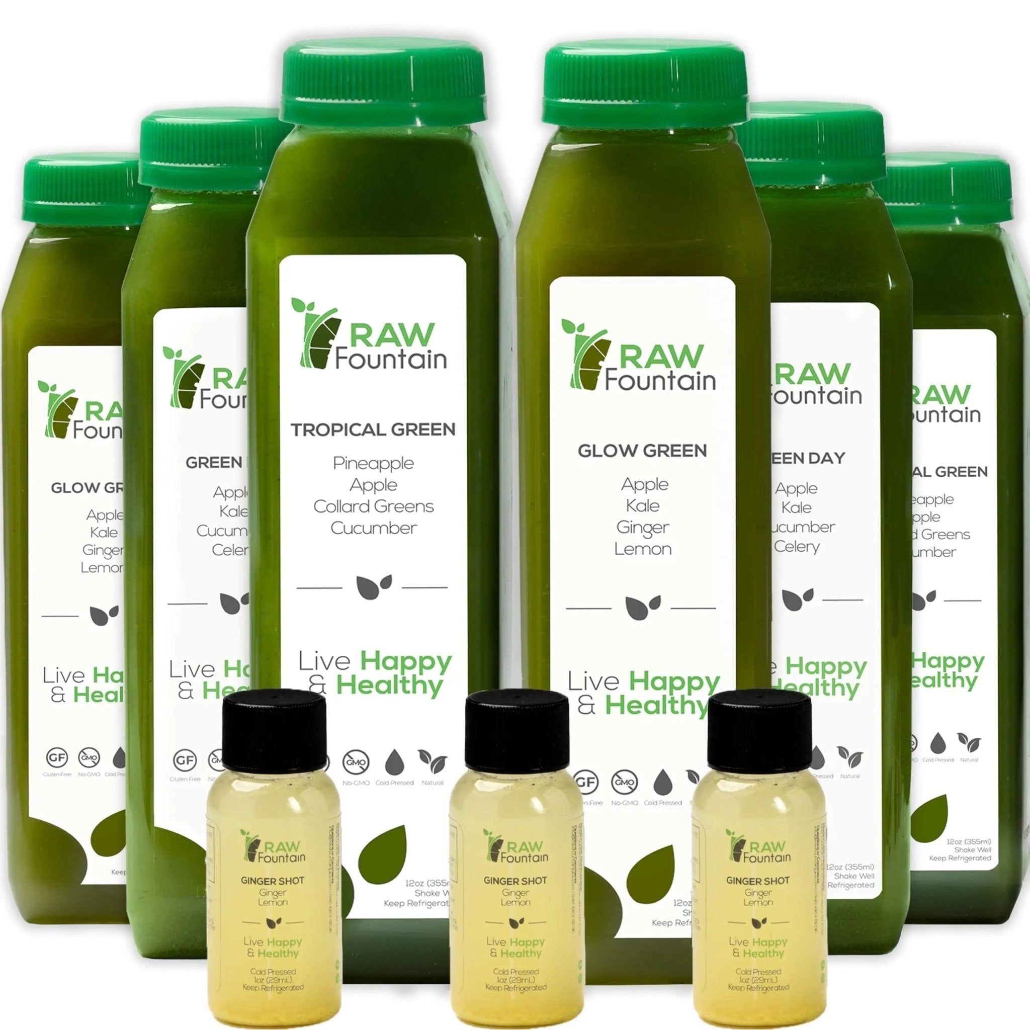 1 Day Green Juice Cleanse by Raw Fountain, All Natural Raw, Vegan Detox, Cold Pressed - TrustMedUSA