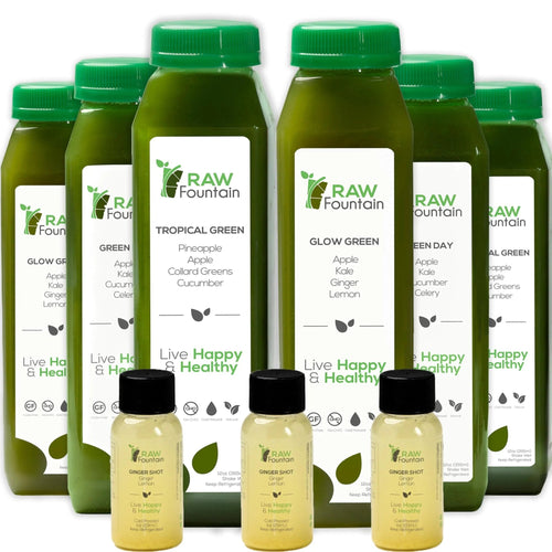 1 Day Green Juice Cleanse by Raw Fountain, All Natural Raw, Vegan Detox, Cold Pressed - TrustMedUSA