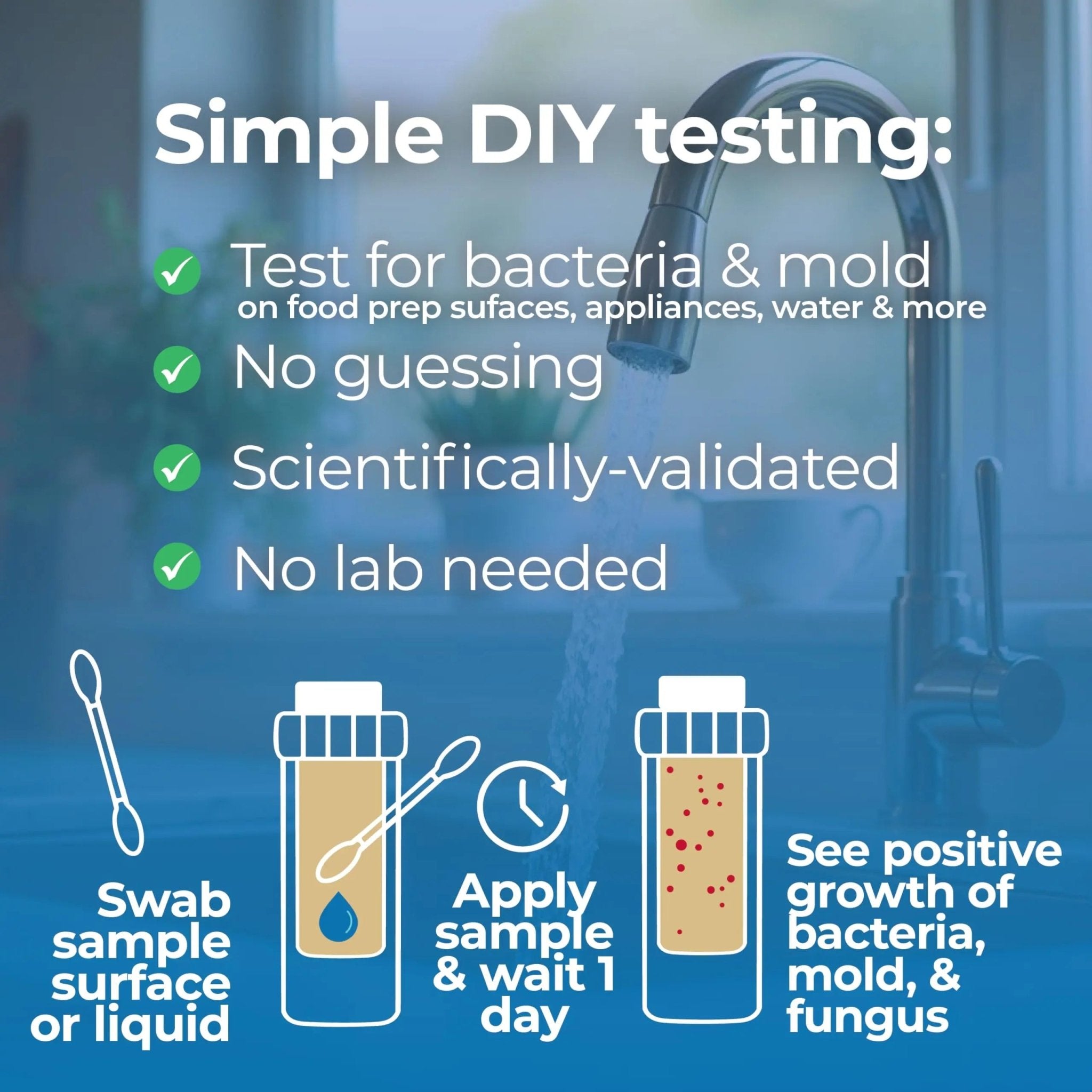 1 Home, Kitchen, & Appliance Microbial Growth Test Kit – Simple DIY Screening for Bacteria, Mold, & Fungus – Know Your Home is Clean – Made in USA (1 Kit = 4 Bac + 4 Mold Tests) - Maple Wellness Supplements
