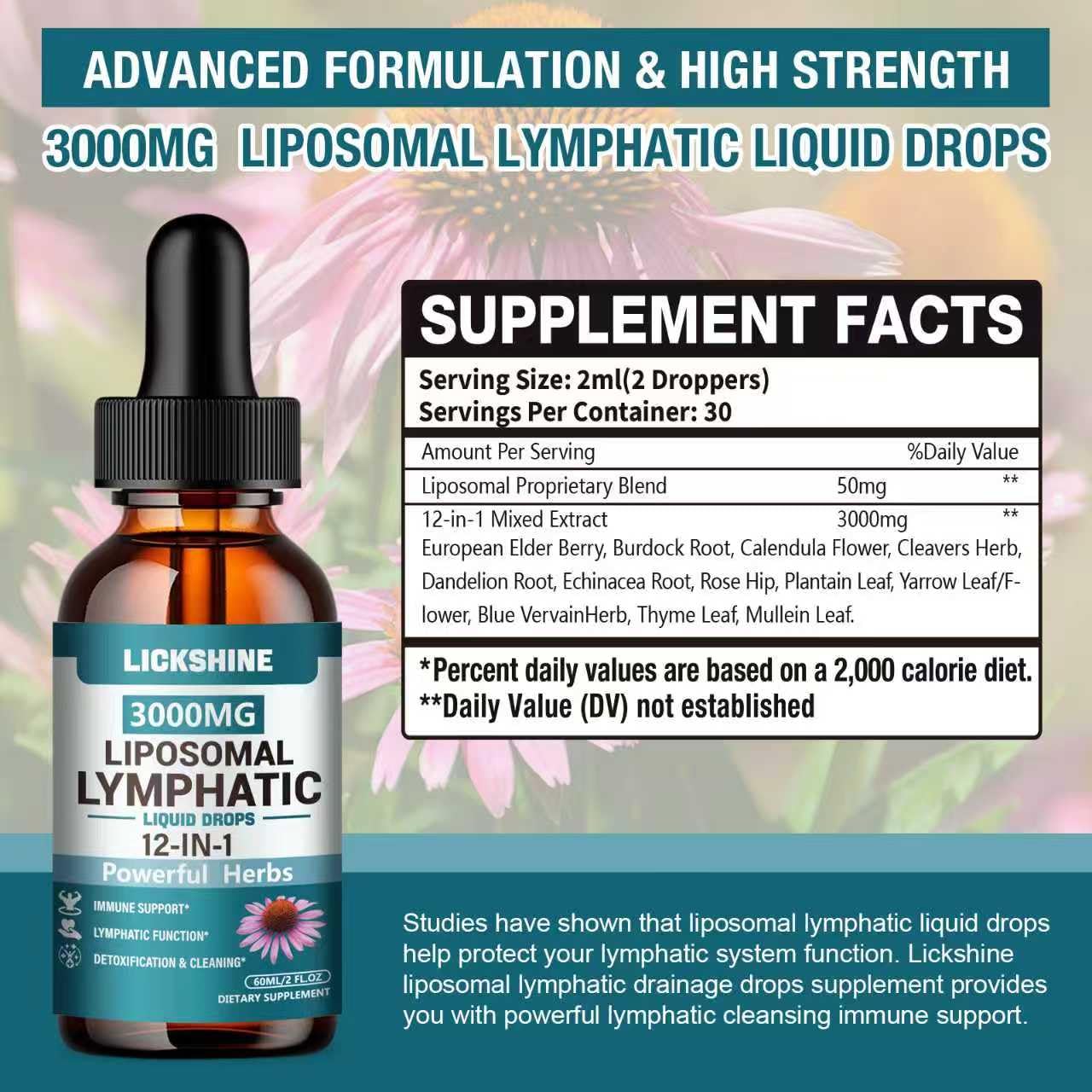2 Packs 3000MG Liposomal Lymphatic Drainage Drops, 12 in 1 Organic Lymphatic Drainage Supplements with ElderBerry, Burdock Root, Cleavers Herb & Echinacea, Lymphatic Cleanse Immune Support, 4 Fl oz - Maple Wellness Supplements