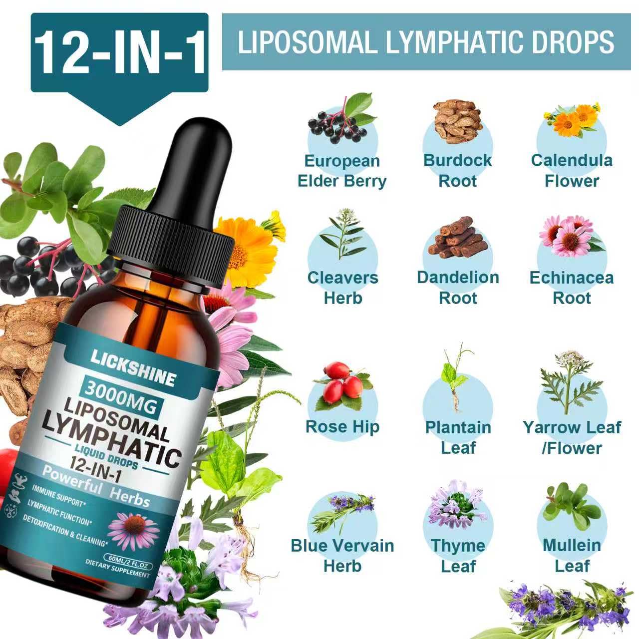 2 Packs 3000MG Liposomal Lymphatic Drainage Drops, 12 in 1 Organic Lymphatic Drainage Supplements with ElderBerry, Burdock Root, Cleavers Herb & Echinacea, Lymphatic Cleanse Immune Support, 4 Fl oz - Maple Wellness Supplements