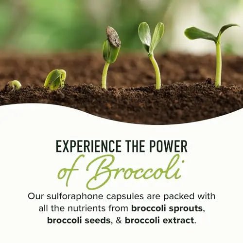 20MG Sulforaphane | From Broccoli Sprouts & Seed Extract | 565MG Microbeadlet - TrustMedUSA