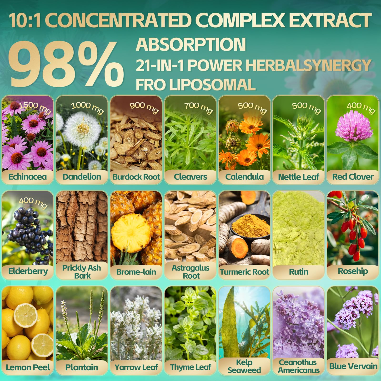 21-in-1 Liposomal Lymphatic Drainage Supplements, 100 Day Supply, 6000mg Lymph System Support for Women & Men with Echinacea, Dandelion, Burdock, Bromelain, Calendula, Turmeric & More, 300 Softgels - Maple Wellness Supplements