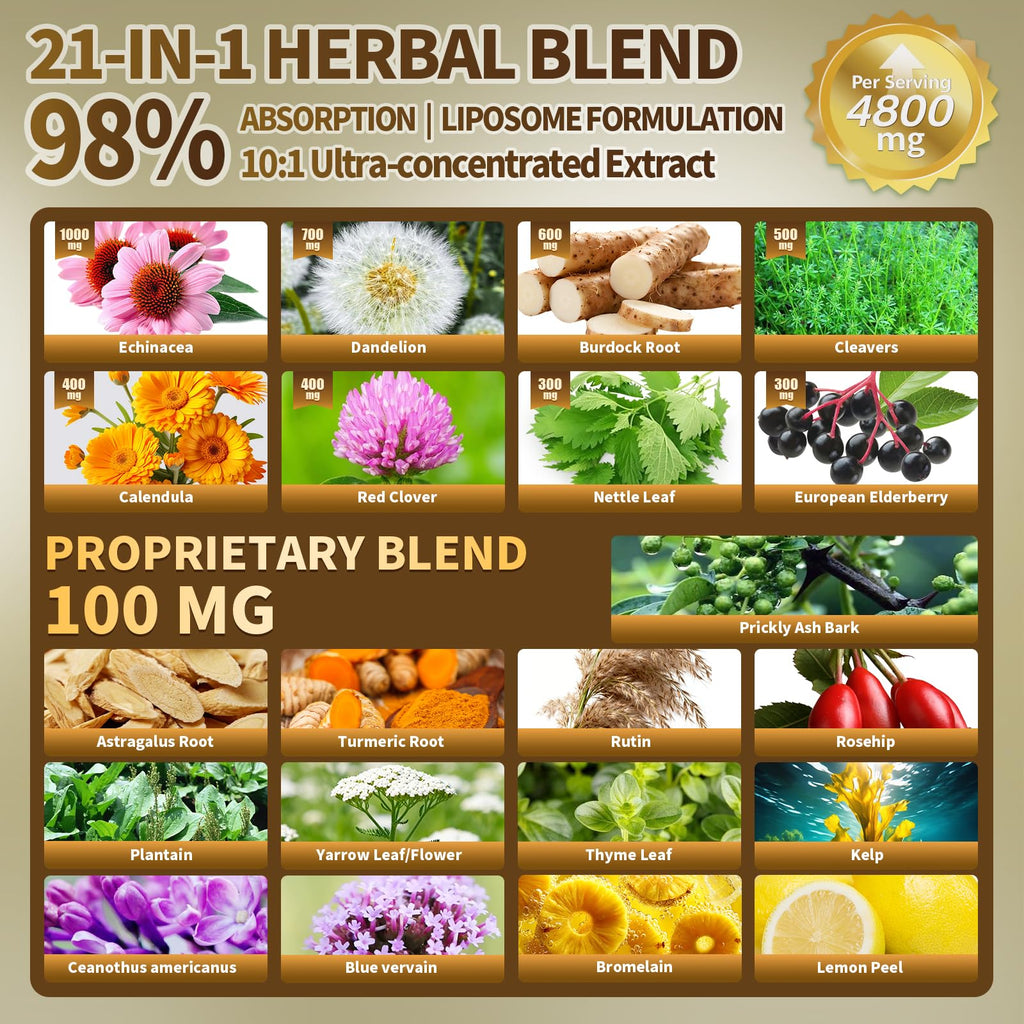 21-in-1 Liposome Lymphatic Drainage Supplements, 45 Day Supply, 4800mg Immune & Lymph System Support, 10:1 Concentrated Technology, Echinacea, Dandelion, Burdock, Bromelain, Calendula, 90 Capsules - Maple Wellness Supplements