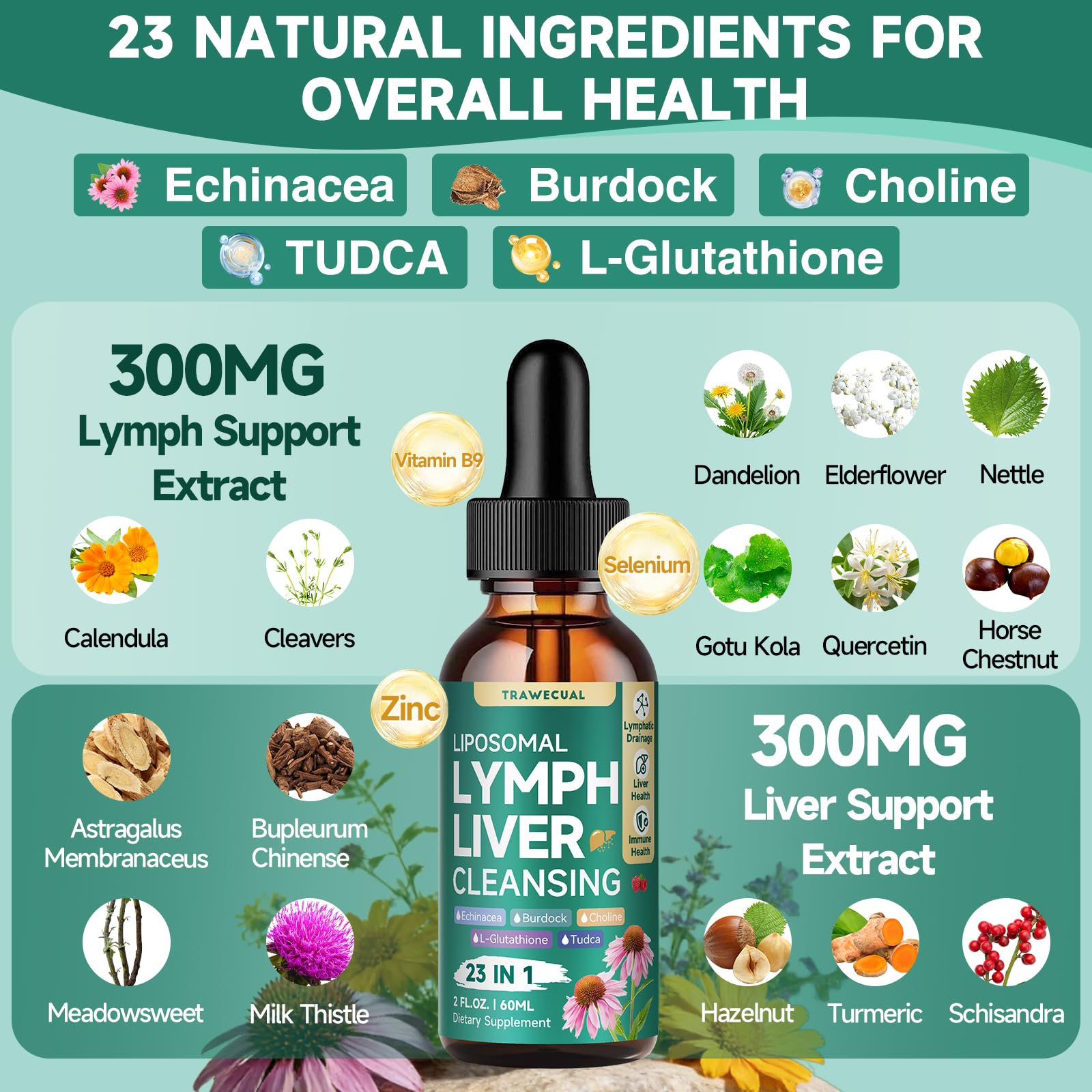23-in-1 Liposomal Lymphatic Drainage Drops, Liver Cleanse Detox & Repair with Echinacea, TUDCA, Choline, L-Glutathione, Burdock for Lymphatic Support, Liver & Immune Health, 2 fl oz Supplement - Maple Wellness Supplements