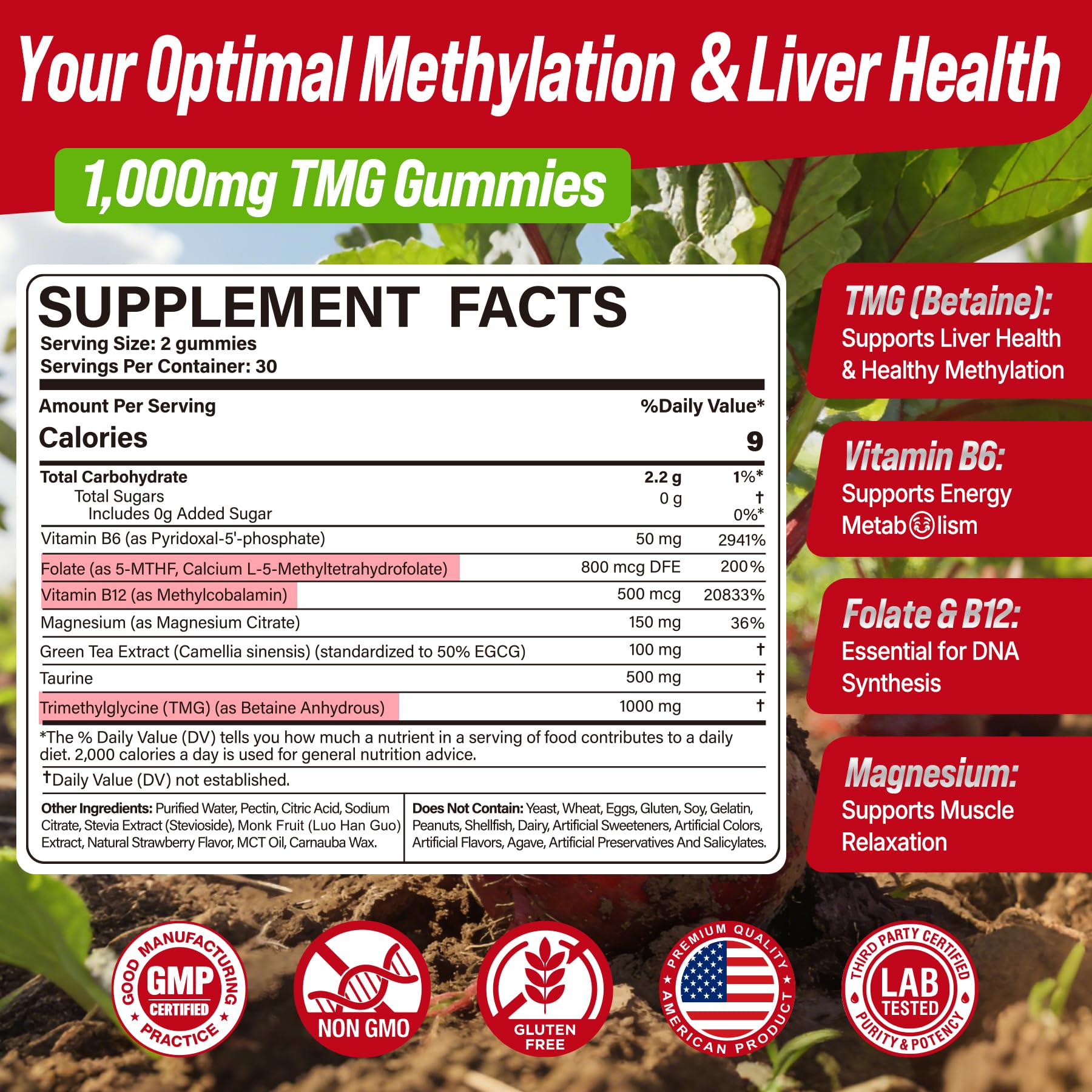 2Pack TMG Gummies 1000mg Betaine Anhydrous + Methylated Multivitamin & B Complex Methylated(Methylfolate B12 B6), Magnesium, Taurine - Essential Trimethylglycine for Homocysteine Levels, Brain, Energy - TrustMedUSA