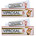 2x VIPROSAL B ointment 50 g Pain muscles and joints neuralgia and arthritis - Maple Wellness Supplements