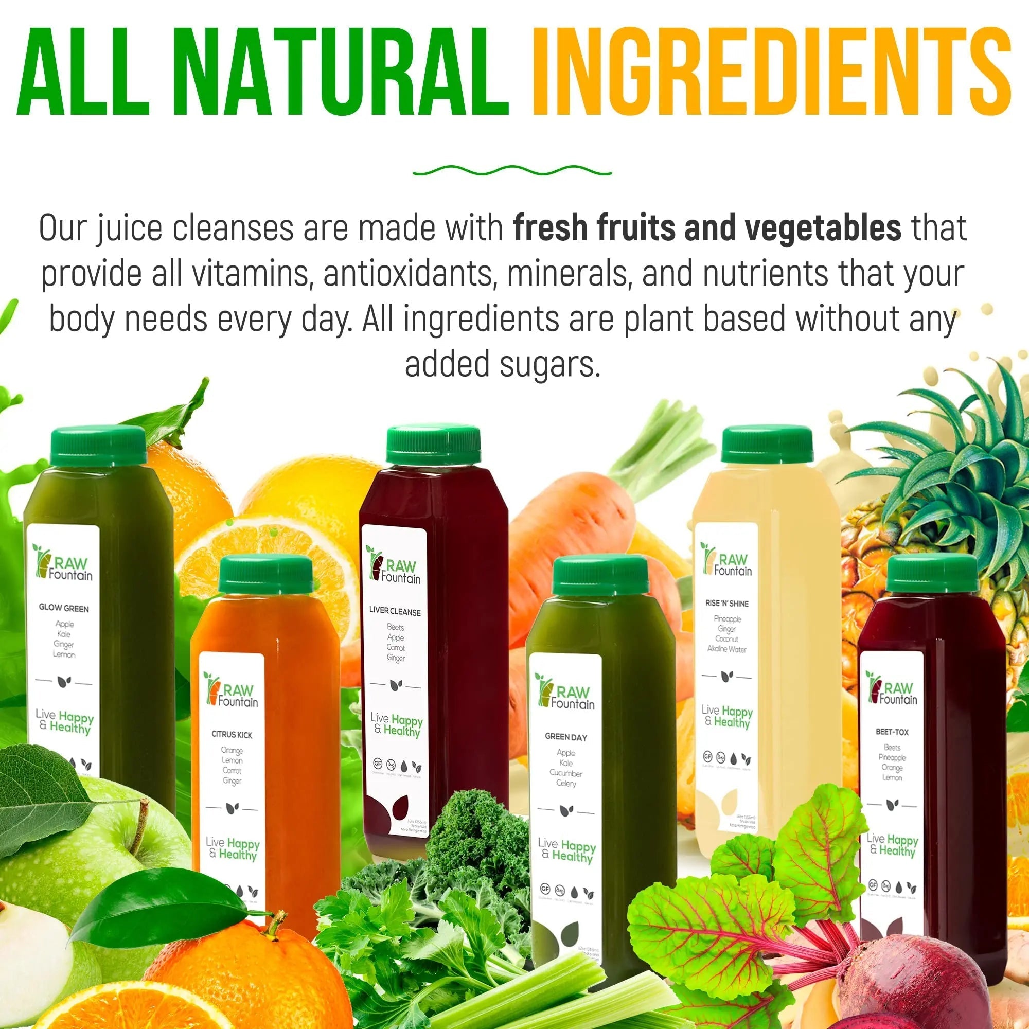 3 Day Juice Cleanse by Raw Fountain, All Natural Raw Detox Cleanse, Liquid Juice Diet - TrustMedUSA