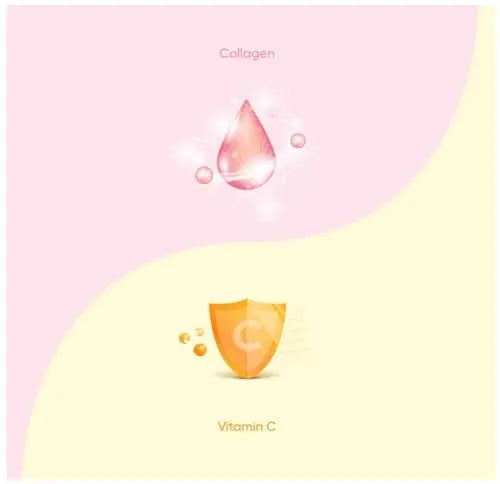EVERYDAZE BT21 Essential C’s Collagen + Vitamin C Konjac Jelly | Vegan, 10 Calories E EVERYDAZE Au supplements