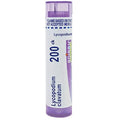 Boiron Lycopodium Clavatum 200CK, 80 Pellets, Homeopathic Medicine for Bloating and Gas Boiron Au supplements