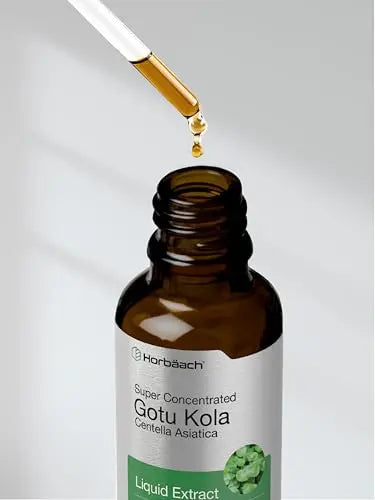 Gotu Kola Extract | 2 fl oz | Alcohol Free | Super Concentrated Liquid Herb Supplement Horbäach Au supplements