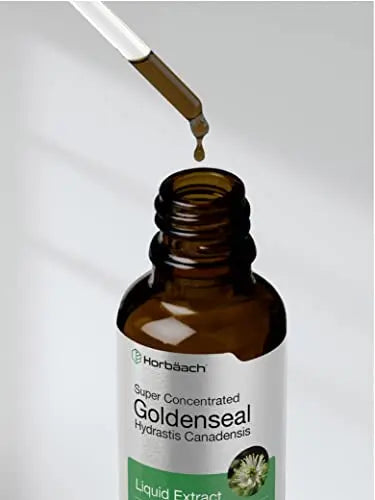 Goldenseal Root Extract Liquid | 1 fl oz Tincture | Super Concentrated | Alcohol Free Horbäach Au supplements