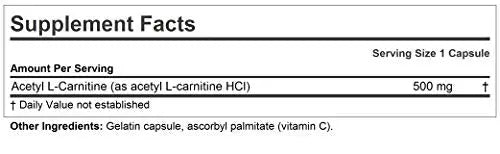 ANDREW LESSMAN Acetyl L-Carnitine 500 mg - 60 Capsules - Support for Nervous System ANDREW LESSMAN Au supplements