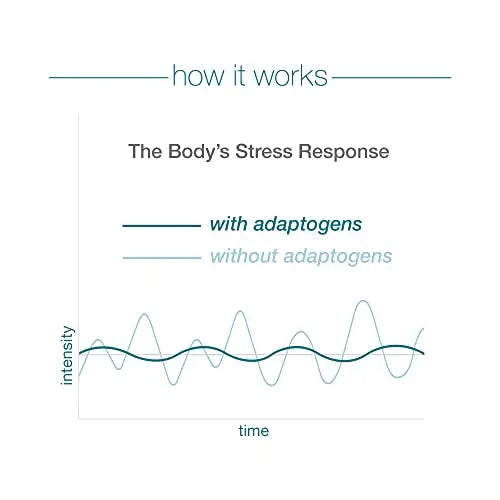 Youtheory ashwagandha Capsule, Helps Maintain Normal cortisol Level, Helps Reduce Youtheory Au supplements