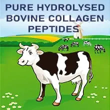 Collagen Liquid 10000mg, Hydrolysed Peptides | Hyaluronic Acid, Biotin, Silica, Vitamin C, Vitamin B12 NUTRABYTES Au supplements