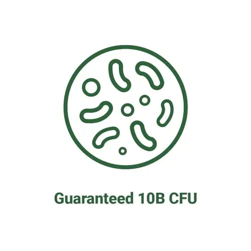 AceBiome BNRThin S30, Lactobacillus Gasseri BNR17, 10 Billion CFU Guaranteed AceBiome Au supplements