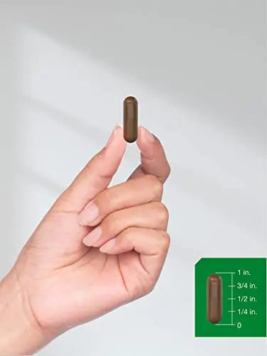 Pine Bark Extract | 6000 mg | 180 Capsules | Standardized to Contain 380 mg Proanthocyan Horbäach Au supplements