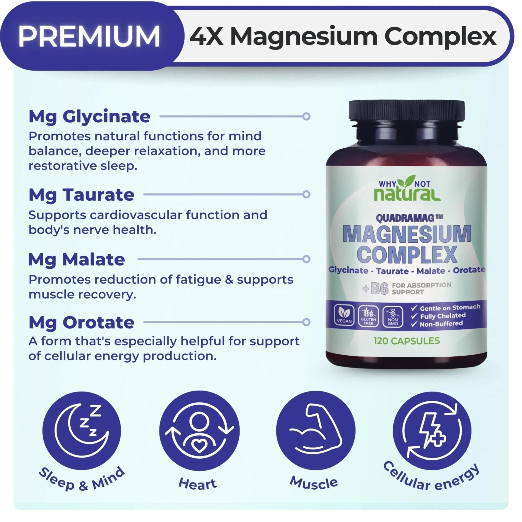 4-in-1 Magnesium Complex Supplement - Glycinate, Taurate, Malate, Orotate Blend - 300 mg per Serving, 120 Capsules - TrustMedUSA