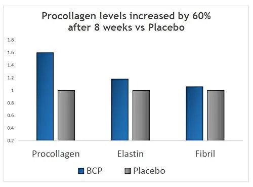 BESHA INC Verisol - Collagen Bioactive Peptides (Natural Collagen Powder) Made in Germany BESHA INC Au supplements