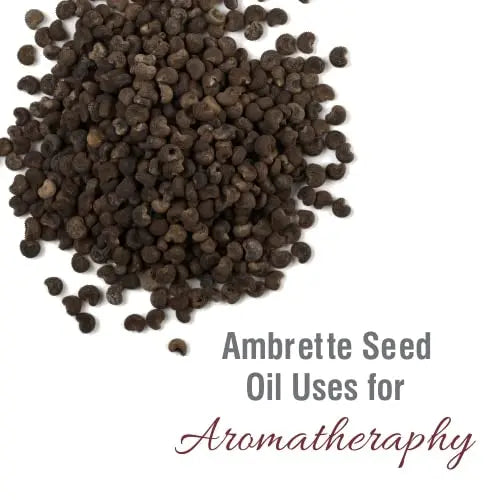 Crysalis Ambrette Seed (Abelmoschus moschatus) Oil - 0.51 Fl Oz (15ml) Crysalis Au supplements