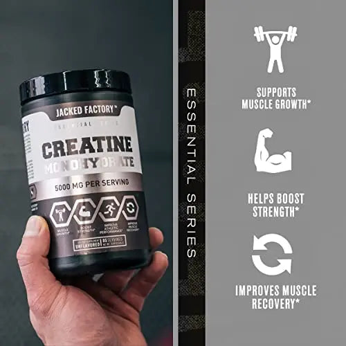 Nitrosurge Pre-Workout & Creatine Monohydrate - Pre Workout Powder With Creatine Jacked Factory Au supplements