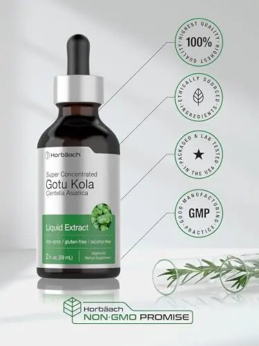 Gotu Kola Extract | 2 fl oz | Alcohol Free | Super Concentrated Liquid Herb Supplement Horbäach Au supplements