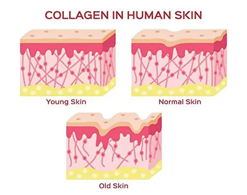 Herbal Magic's Pure & Natural Blend - Collagen Builder Capsules x 60 - Made from 17 Fruits Herbal Magic Au supplements