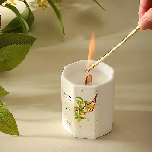 Modoray Scented Candle, Candles for Home Scented, Aromatherapy Candle，Long Lasting Natural Modoray Au supplements