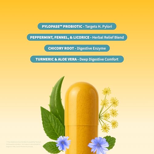 Snap Supplements Gut Health Lipase Supplement with Probiotics for Women & Men, Digestive Enzymes & Prebiotics - Turmeric, Aloe, Pylopass & Zinc, 50 Vegetarian Capsules Snap Supplements Au supplements