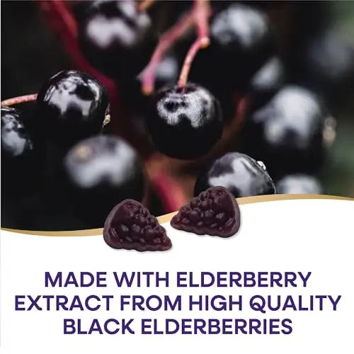 Nature's Way Sambucus Elderberry Immune Gummies, Daily Immune Support Nature's Way Au supplements