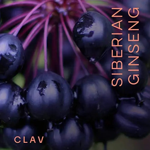 CLAV® Siberian Ginseng - 900mg Eleuthero Root Powder - Energy Supplement CLAV Au supplements