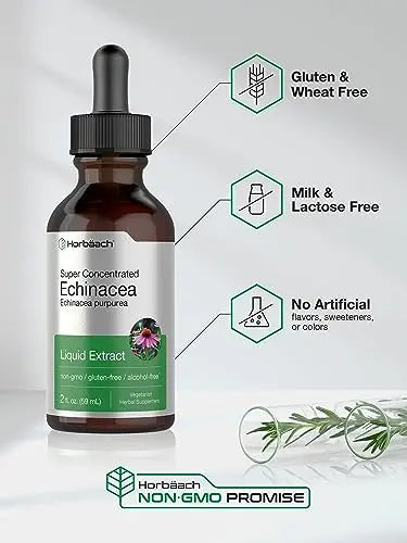 Echinacea Drops Liquid Extract | 2 fl oz | Super Concentrated Tincture | Alcohol Free Horbäach Au supplements
