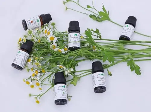 Essential Oils Set 100% Pure Natural DR.NITTA Top 6 Oils for Massage,Diffusers,Humidifier DR.NITTA Au supplements