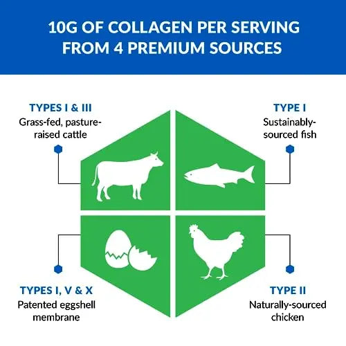 BioTrust Ageless Multi Collagen Protein Powder– 5 Collagen Types (I, II, III, V, X) BioTrust Au supplements