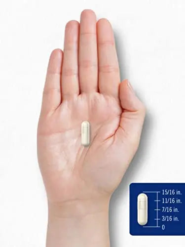 Carlyle Chitosan Supplement 1200mg | 120 Quick Release Capsules | Non-GMO Carlyle Au supplements