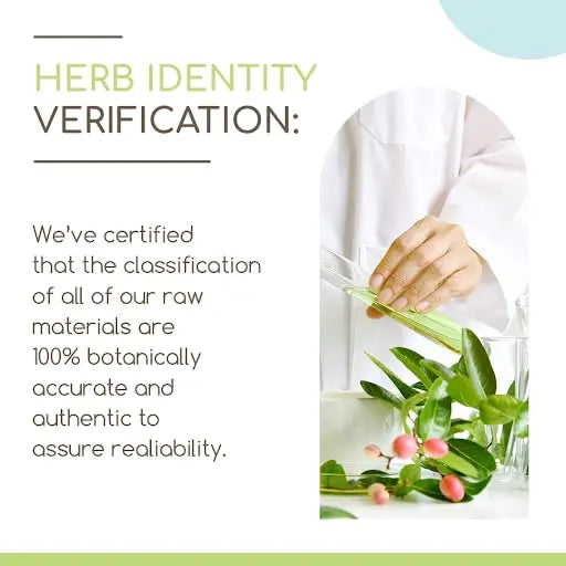 Barberry Root B120 Alcohol-Free Herbal Extract Tincture, Concentrated Liquid Drops Natural Barberry HerbEra Au supplements