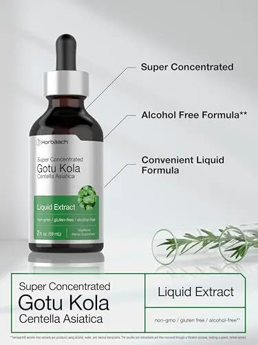 Gotu Kola Extract | 2 fl oz | Alcohol Free | Super Concentrated Liquid Herb Supplement Horbäach Au supplements