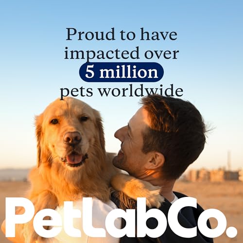 PetLab Co. Probiotics for Dogs, Support Gut Health, Occasional Diarrhea, Digestive Health & Seasonal Allergies - Salmon Flavor - Packaging May Vary - 30 Soft Chews PetLab Co. Au supplements