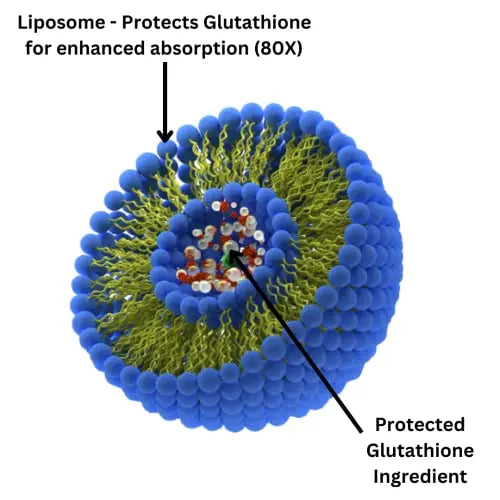 Research Labs Liposomal Glutathione Supplement w/Gluta-IV™, 100x Enhanced Absorption Research Labs Au supplements
