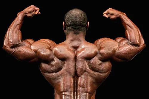 Muscle Pump pre Workout - Nitric Oxide 2400mg Muscle Pump, Extreme Strength Health Solution Prime Au supplements