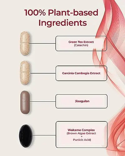 FOODOLOGY Burningology D-Day (Pack of 1, 10 Days) - Jiaogulan, Wakame Complex, Green Tea Extract FOODOLOGY Au supplements