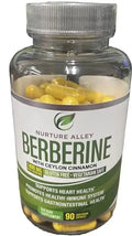 Nurture Alley Berberine Complex - Berberine HCL 1200mg Plus Organic Ceylon Cinnamon NURTURE ALLEY Au supplements