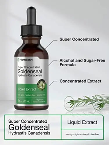 Goldenseal Root Extract Liquid | 1 fl oz Tincture | Super Concentrated | Alcohol Free Horbäach Au supplements
