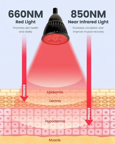 YMM Update Red Light Therapy for Body, All Metal Red Light Therapy Device with Stand, 660nm YMM Au supplements