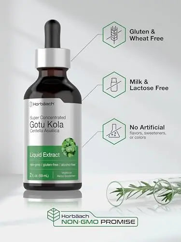 Gotu Kola Extract | 2 fl oz | Alcohol Free | Super Concentrated Liquid Herb Supplement Horbäach Au supplements