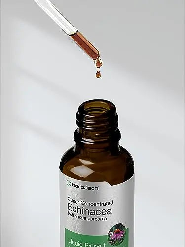 Echinacea Drops Liquid Extract | 2 fl oz | Super Concentrated Tincture | Alcohol Free Horbäach Au supplements