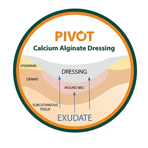 Pivot Calcium Alginate Wound Dressing – All-Natural First Aid | 4x5 Dressin LMP LINKS MEDICAL PRODUCTS INC. Au supplements