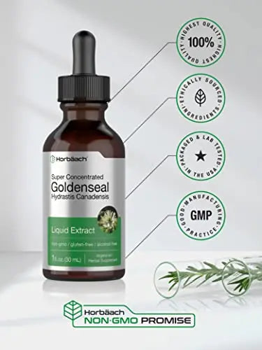 Goldenseal Root Extract Liquid | 1 fl oz Tincture | Super Concentrated | Alcohol Free Horbäach Au supplements